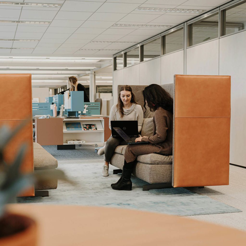 THE HAWORTH COLLECTION