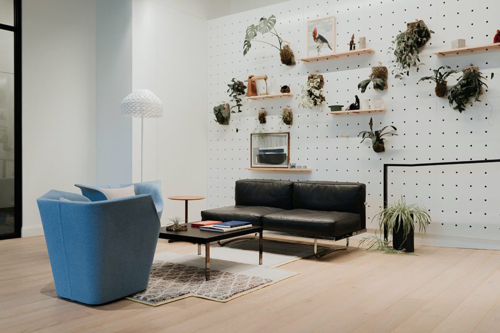 THE HAWORTH COLLECTION