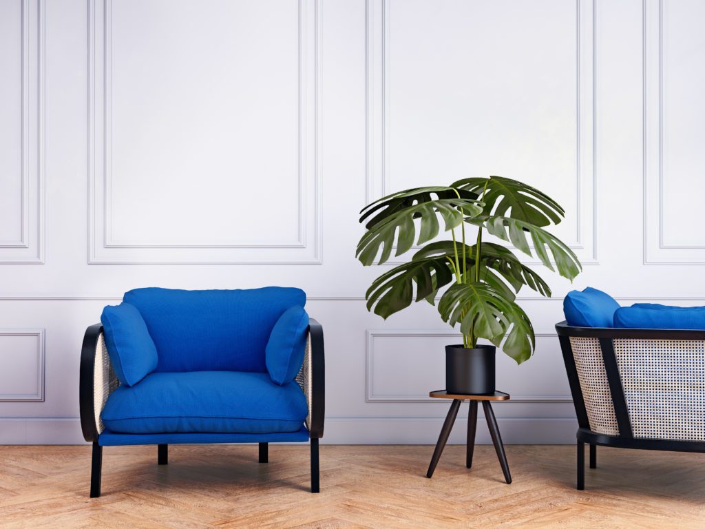 BUZZICANE | BUZZISPACE