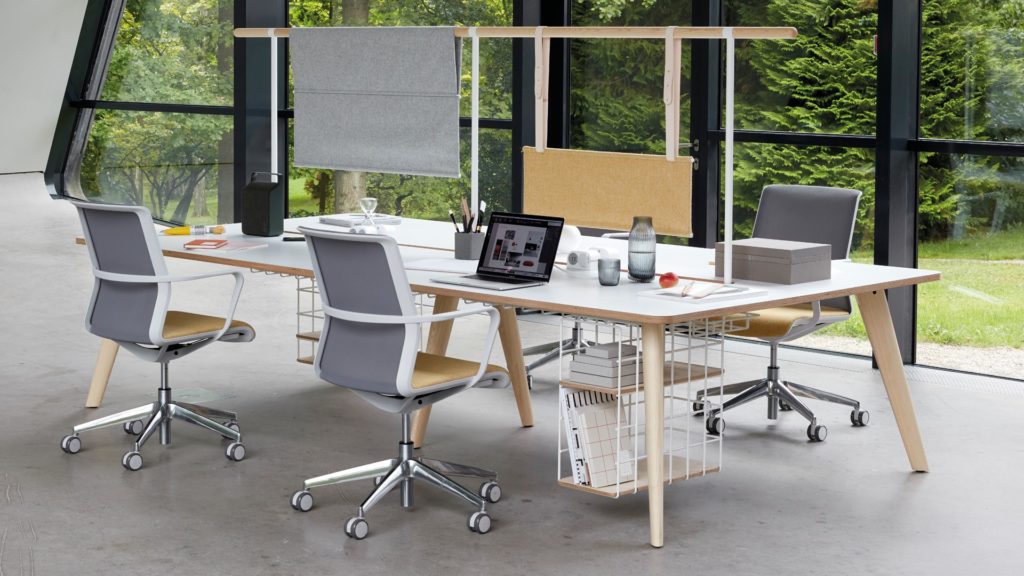 THE SENATOR GROUP | CIRCO